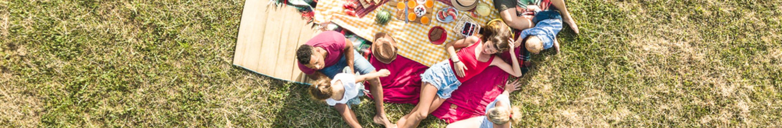 Gezonde picknick en barbecue